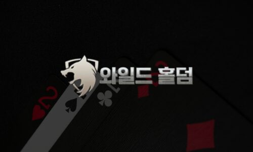 게임운영의 모든 해답, 와일드홀덤 API에 있다