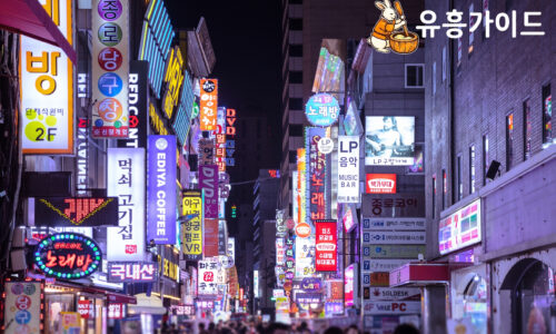 서울유흥 바로가기, 업소 선택 전 반드시 확인해야 할 3가지